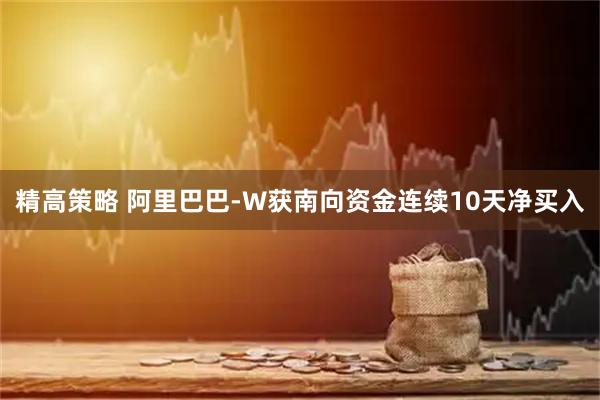 精高策略 阿里巴巴-W获南向资金连续10天净买入